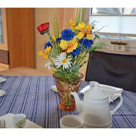 Blue Star Comfortable Holiday home *